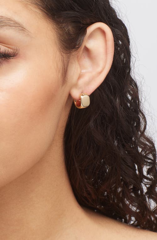 Jenny Bird Mila Huggie Hoop Earrings