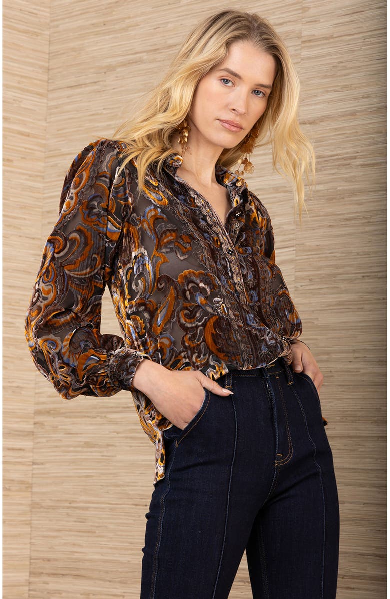 Hale Bob Kaiya Burnout Top, Alternate, color, Black