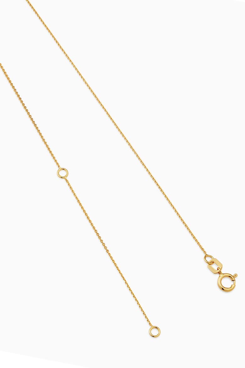 14K Yellow Gold Greek Lion Medallion Necklace, Alternate, color, Yellow Gold