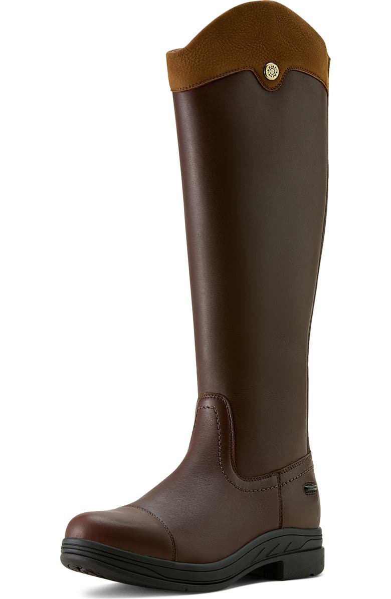 Ariat Stamford Waterproof Riding Boot, Alternate, color, Royal Chocolate