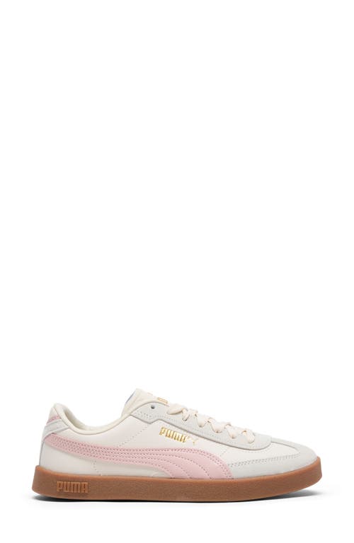 Puma Club Ii Era Sneaker In Alpine Snow-rose Quartz-gum