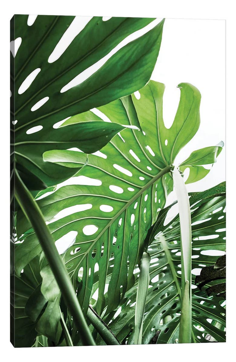 iCanvas Jungle by Sisi & Seb Canvas Wall Art, Main, color, 