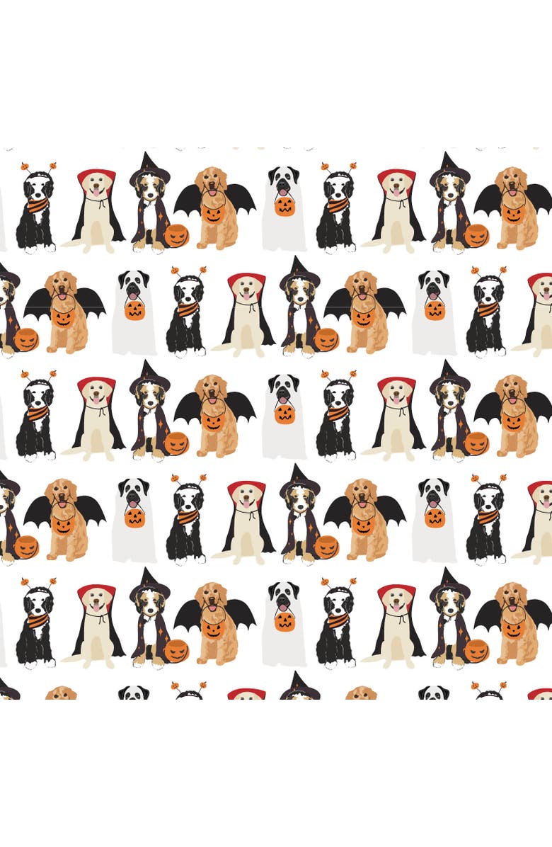 Lila and Hayes Anna Women's Longsleeve Top Short Set, Alternate, color, 