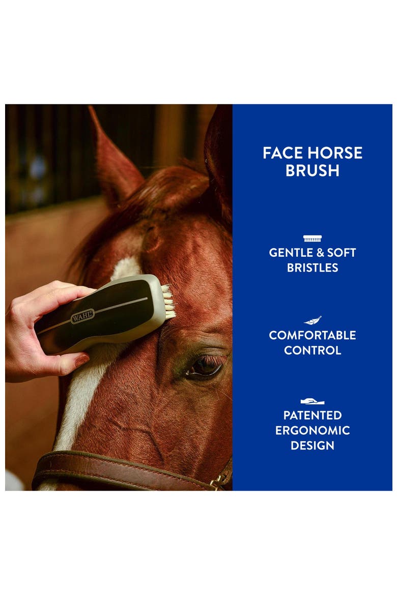 Equine Grooming Face Horse Brush, Alternate, color, Black
