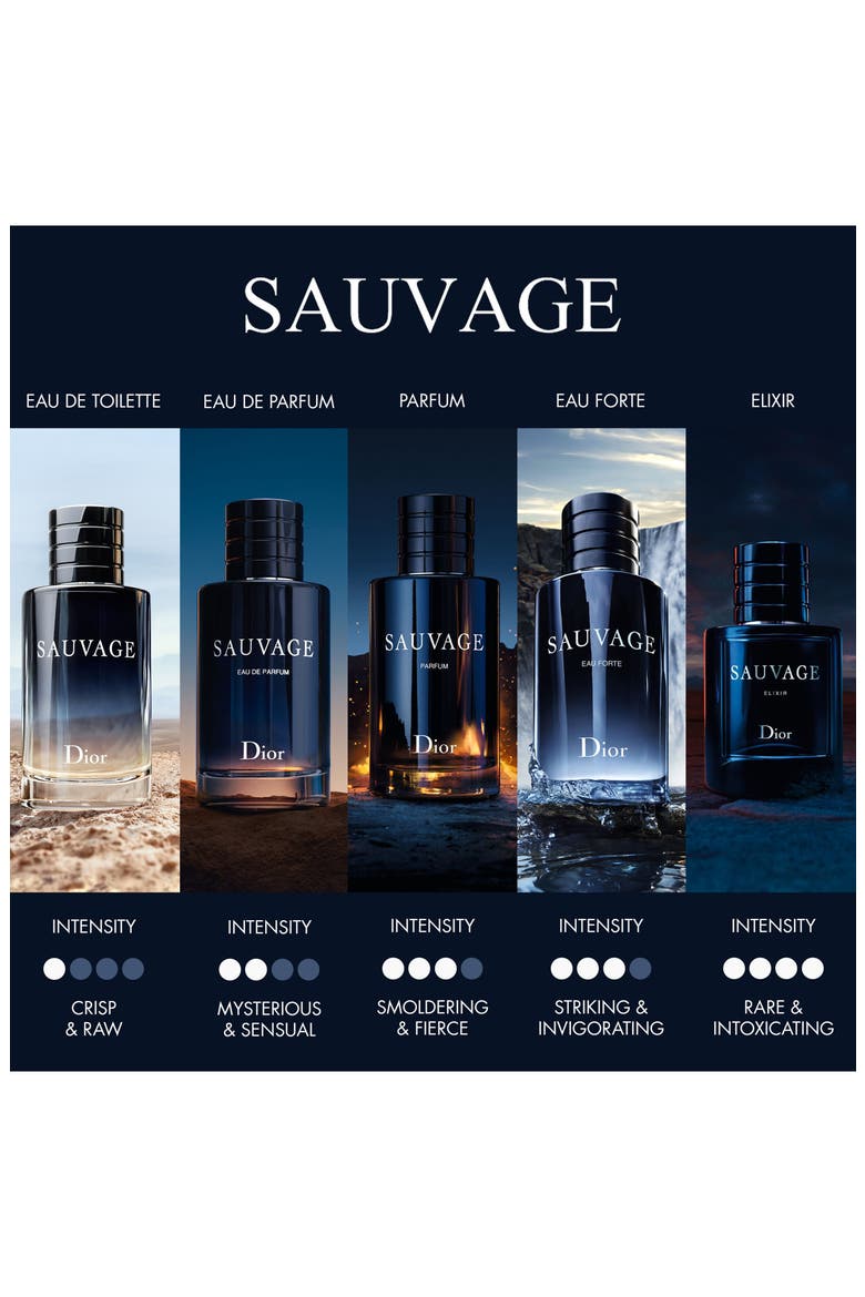 Sauvage Eau de Toilette & Deodorant Gift Set, Alternate, color, NO COLOR