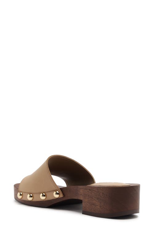 Schutz Shayla Slide Sandal In Purple