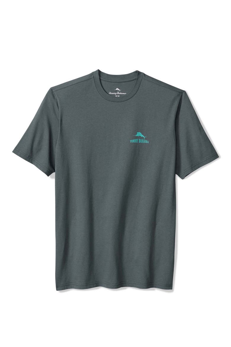 Fantasy Draft Graphic T-Shirt, Main, color, TURBULENCE