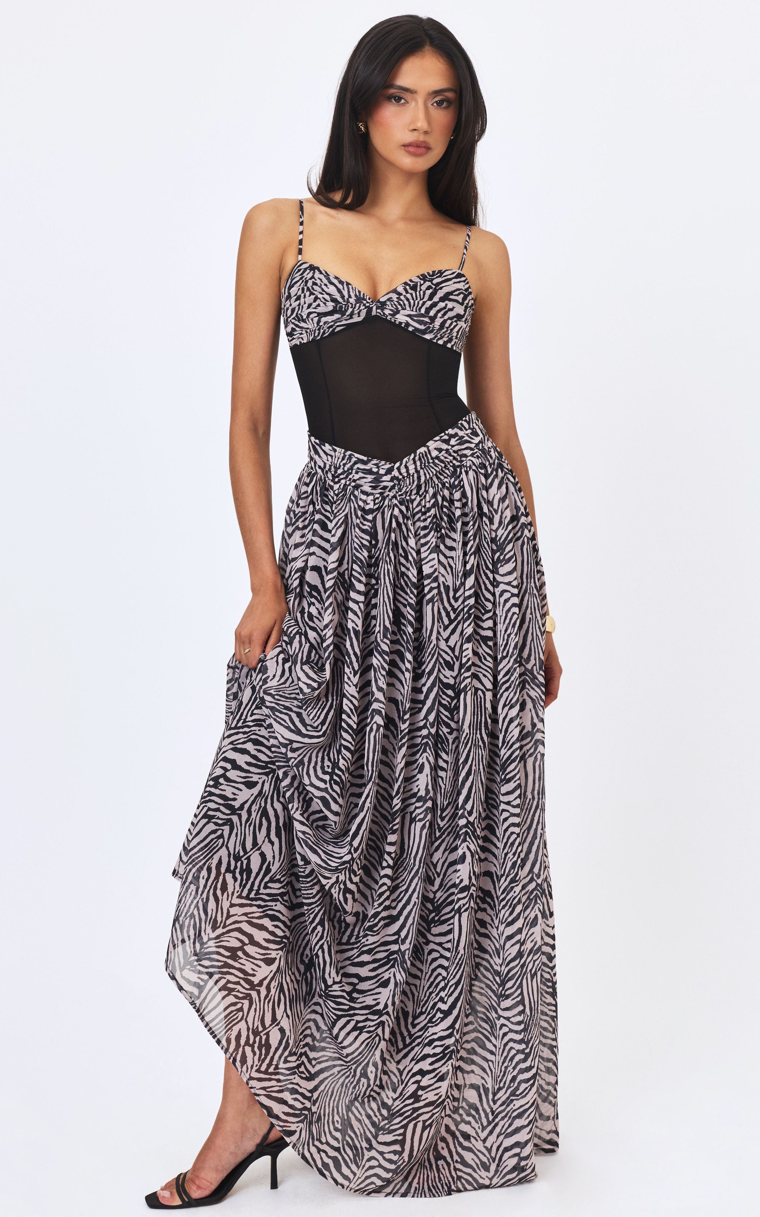 selected Zebra Print