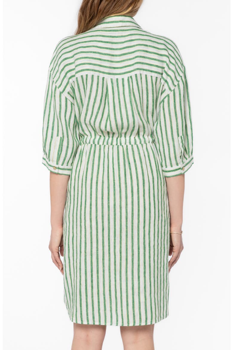 Jenneva Shirtdress, Alternate, color, GREEN FOLIAGE STRIPE