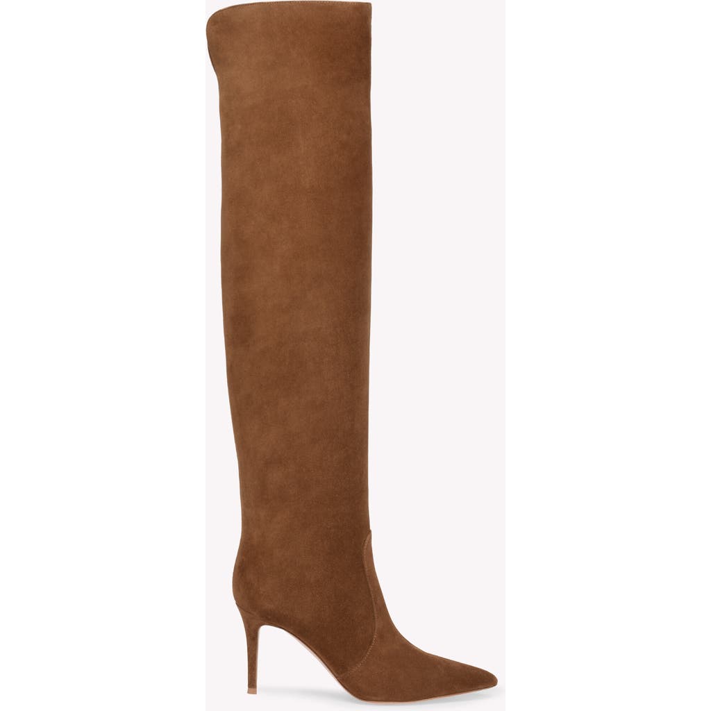 Gianvito Rossi Hansen Pointed Toe Boot In Texas