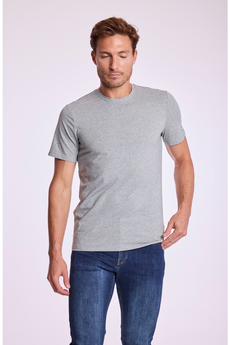Lucas Crewneck T-Shirt, Alternate, color, LIGHT GREY