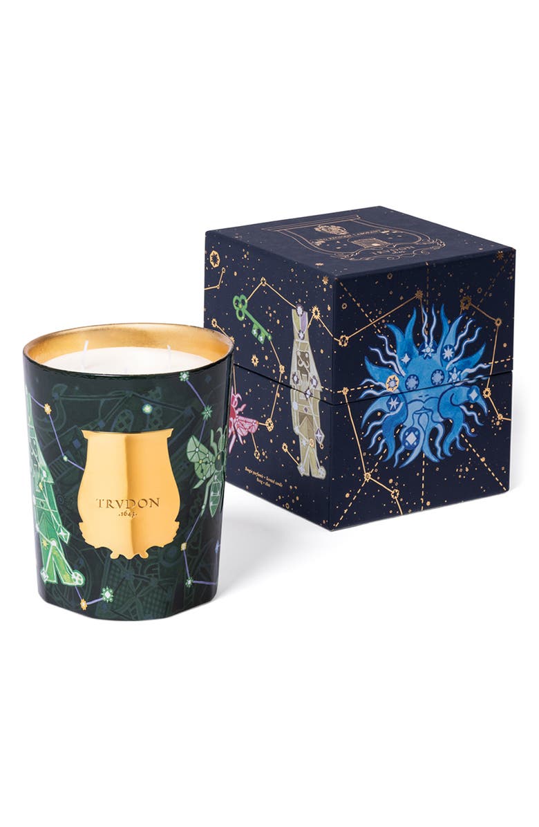Trudon Fir Christmas Tree Candle, Alternate, color, 