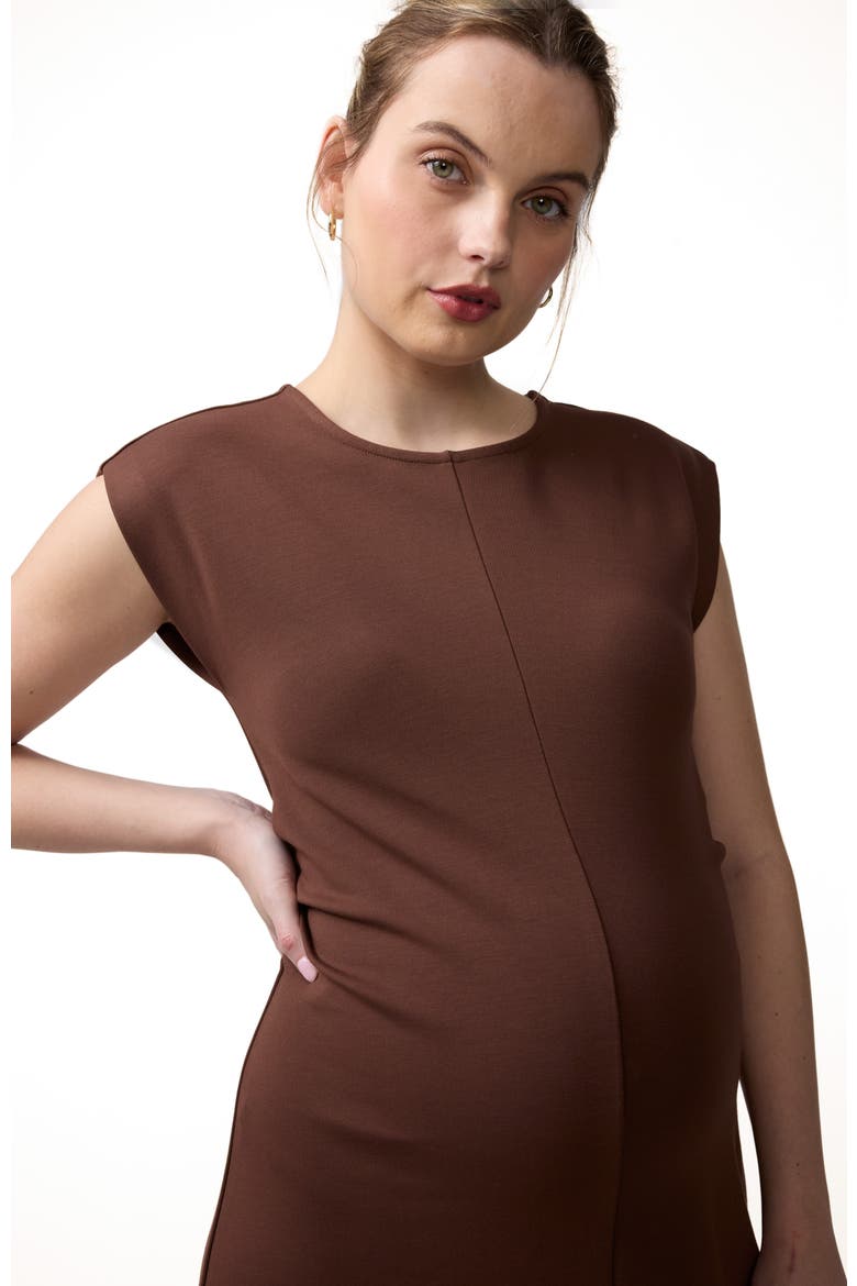 The Modern Muse Maternity Midi Dress, Alternate, color, Dark Brown