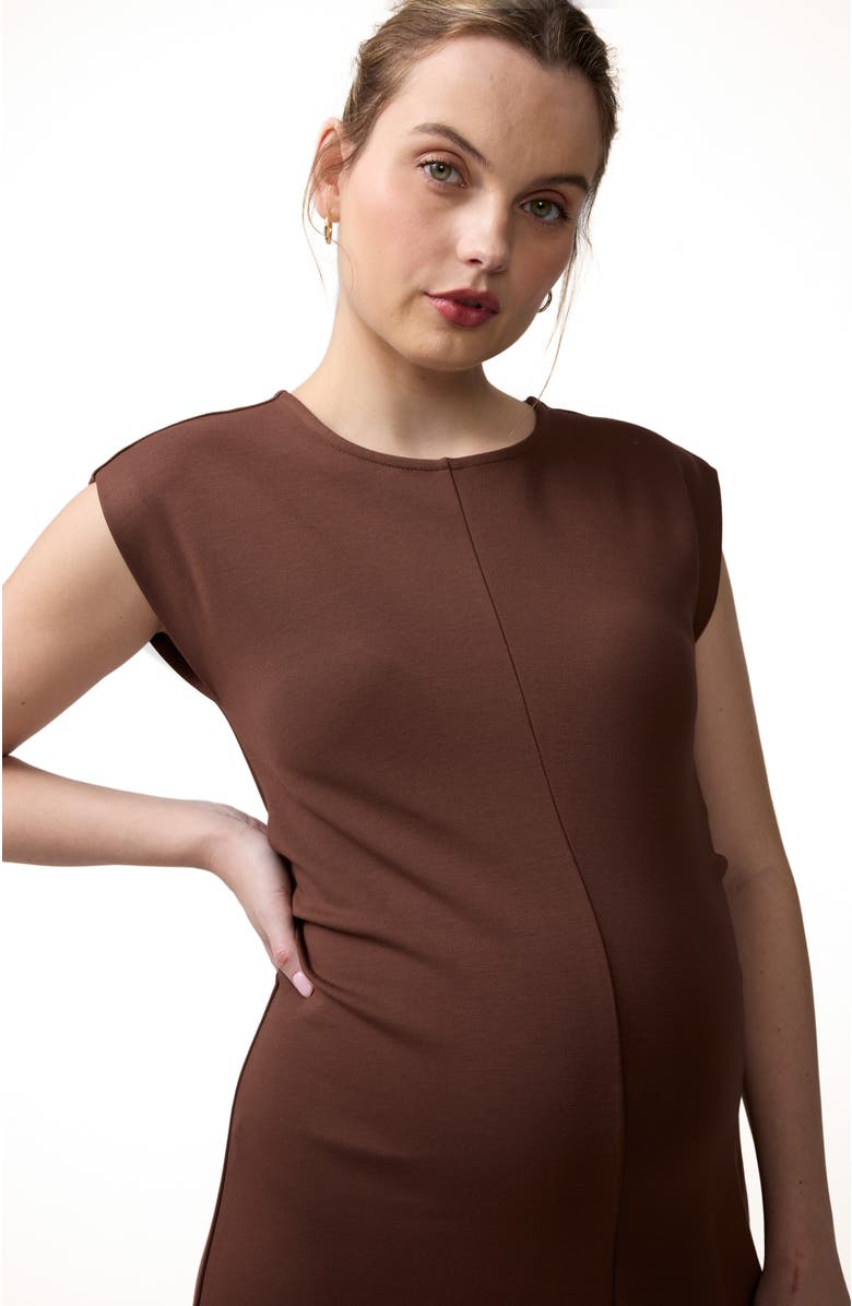 Ingrid & Isabel The Modern Muse Maternity Midi Dress, Alternate, color, Dark Brown