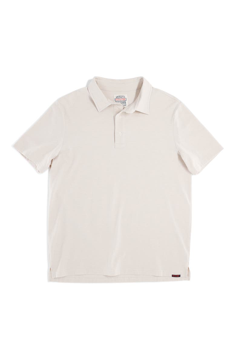 Feeder Stripe Polo, Alternate, color, MELANGE BIRCH