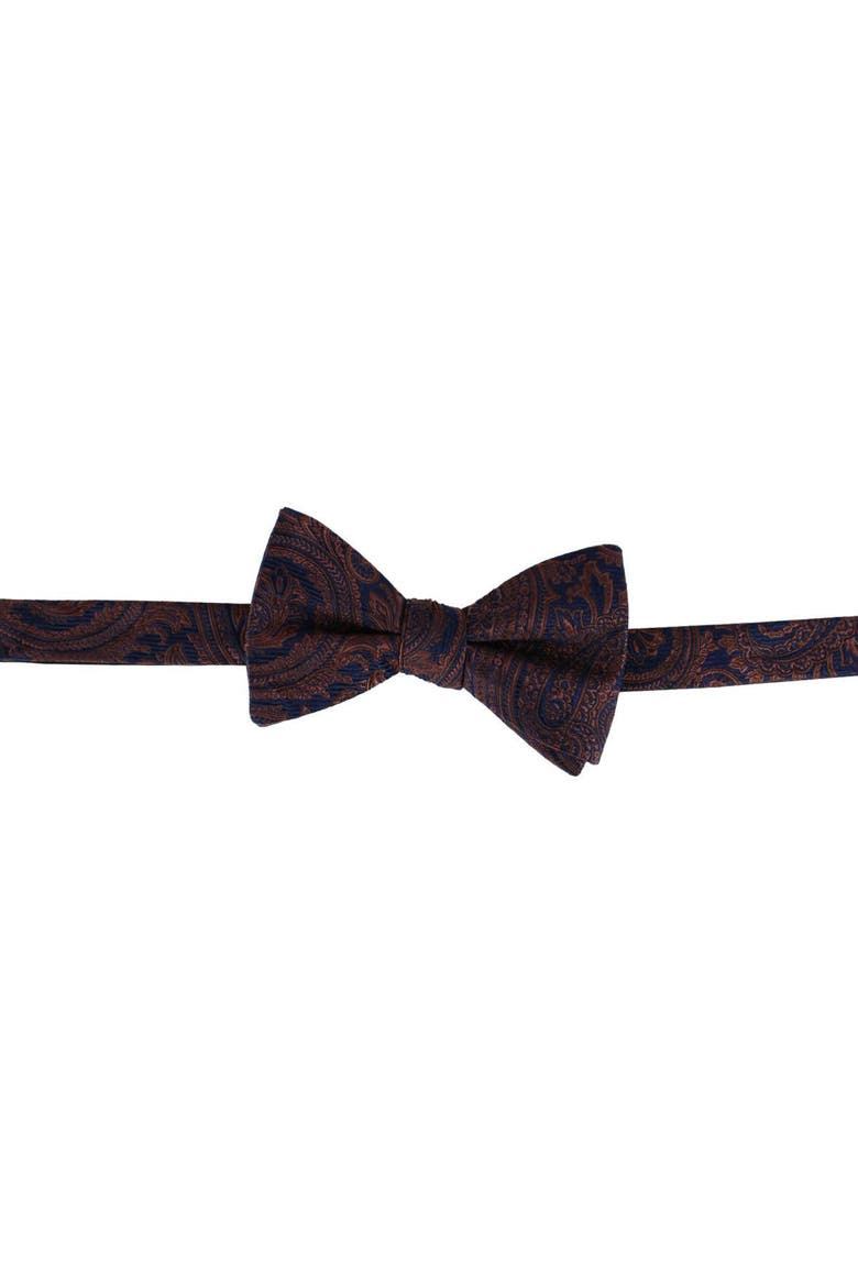 Sobee Paisley Silk Bow Tie, Main, color, Brown
