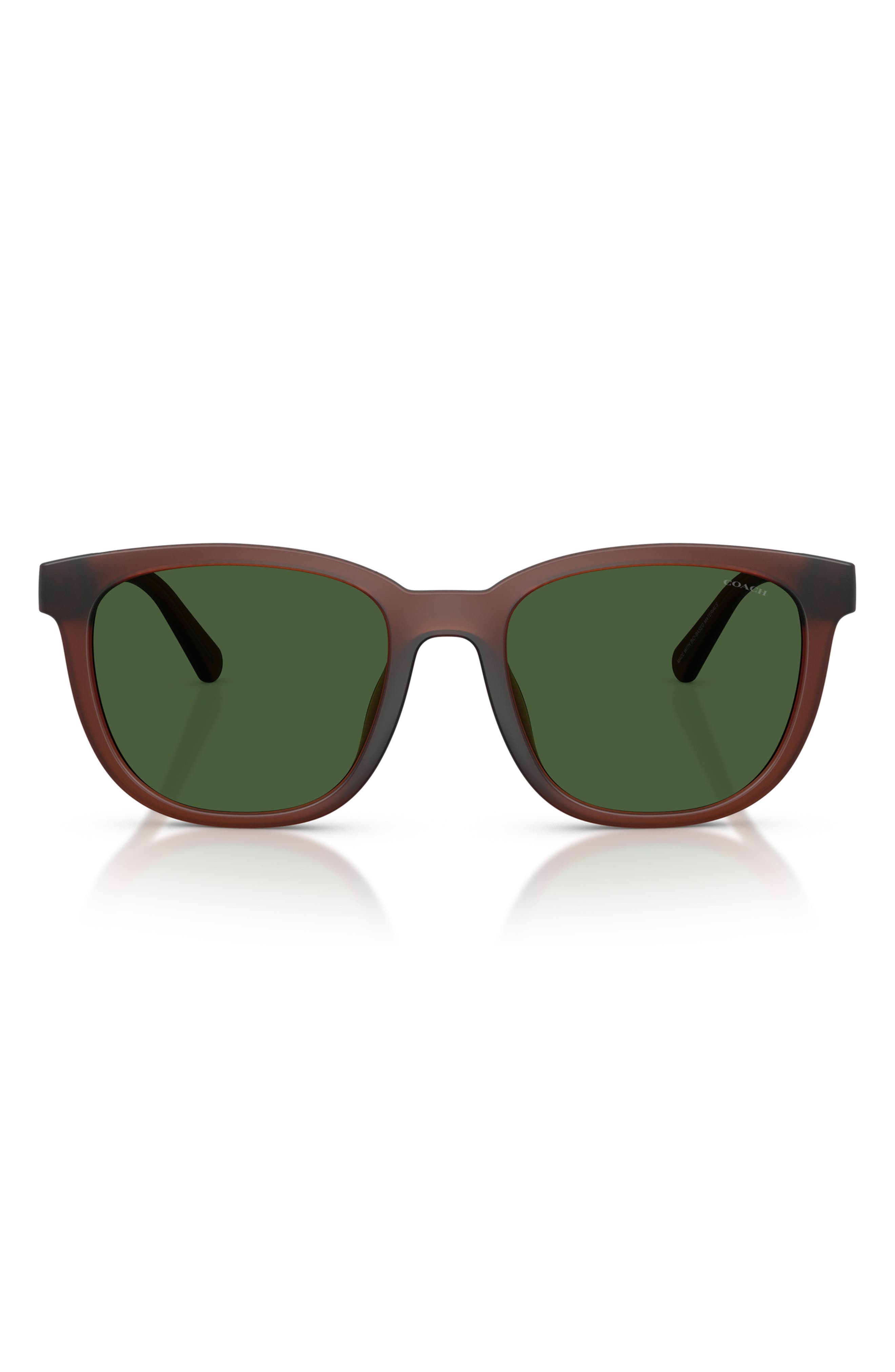 selected TRANSPARENT BROWN / GREEN