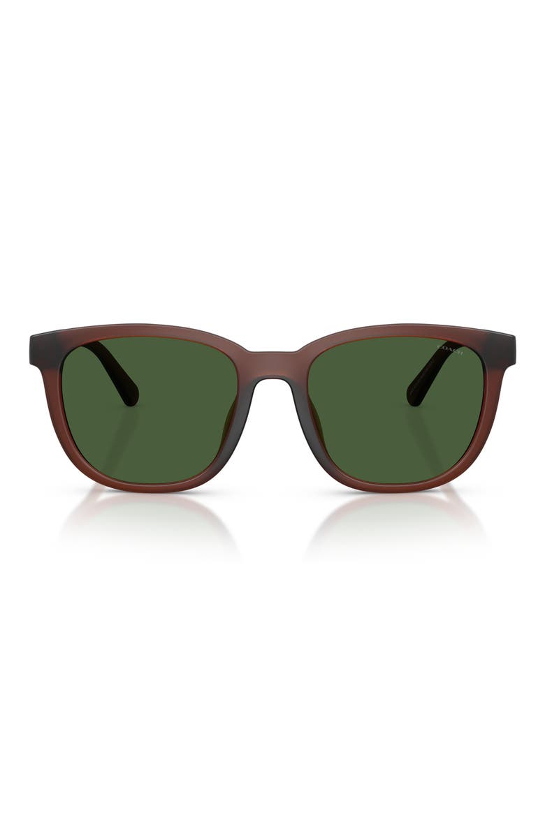 54mm Square Sunglasses, Main, color, TRANSPARENT BROWN / GREEN