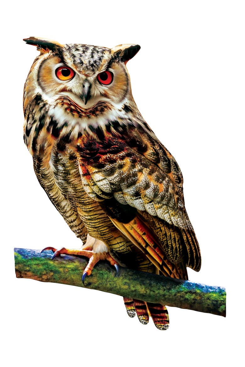 Owl 100 Piece Shaped Jigsaw Puzzle, Alternate, color, Multicolor