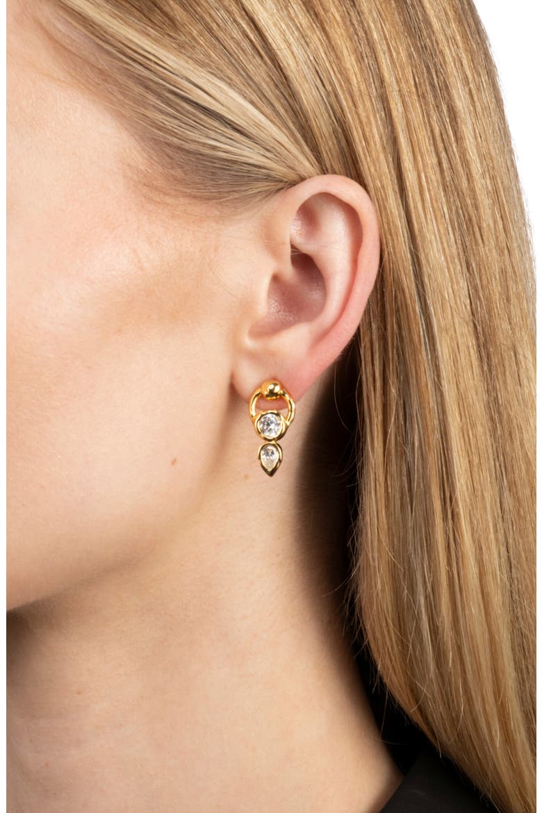 Asterales Cubic Zirconia Circle Post Earrings, Alternate, color, STONES
