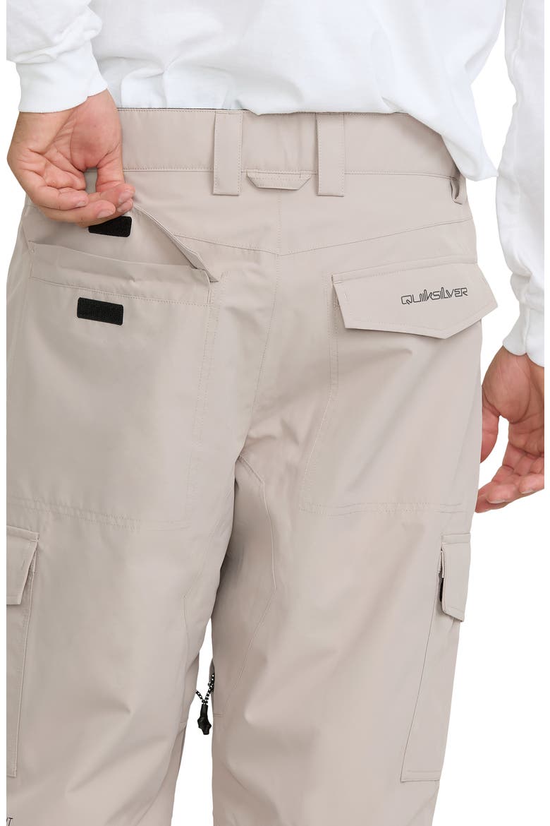 Porter 20K Waterproof Performance Cargo Snow Pants, Alternate, color, STRING
