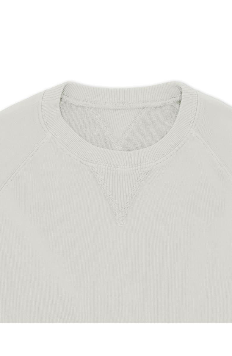 Fortela Harvard Brushed Jersey Raglan Sleeve Sweatshirt, Alternate, color, Ice