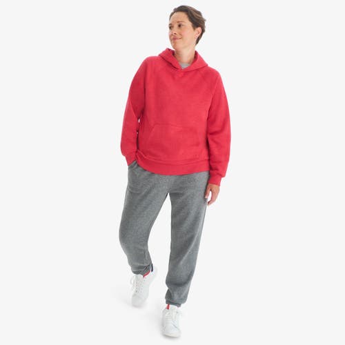 Primary Adult Cozy Fleece Sweatpant In Gray