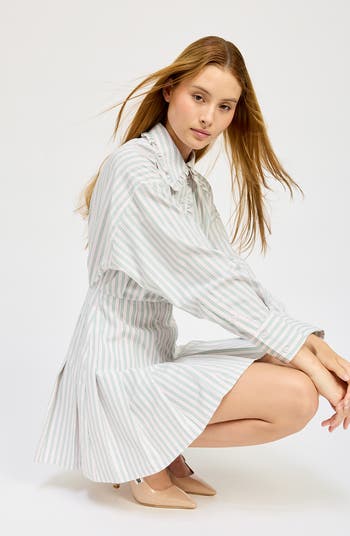 Haisley Stripe Long Sleeve Cotton Blend Mini Shirtdress