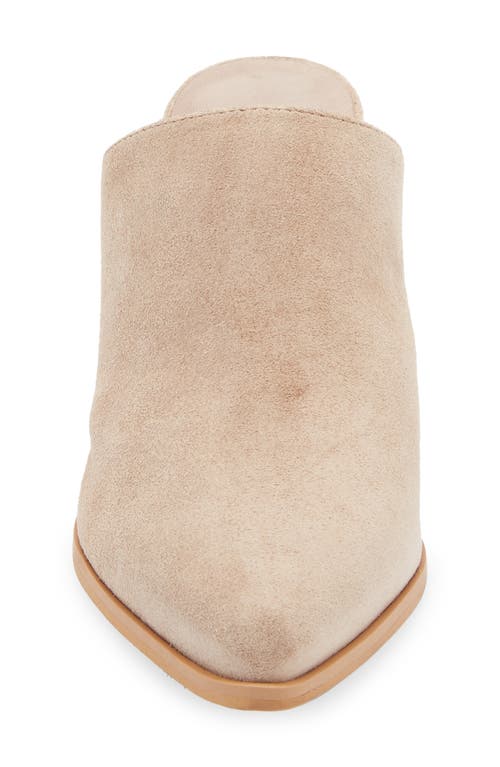 Chocolat Blu Emery Pointed Toe Mule In Brown