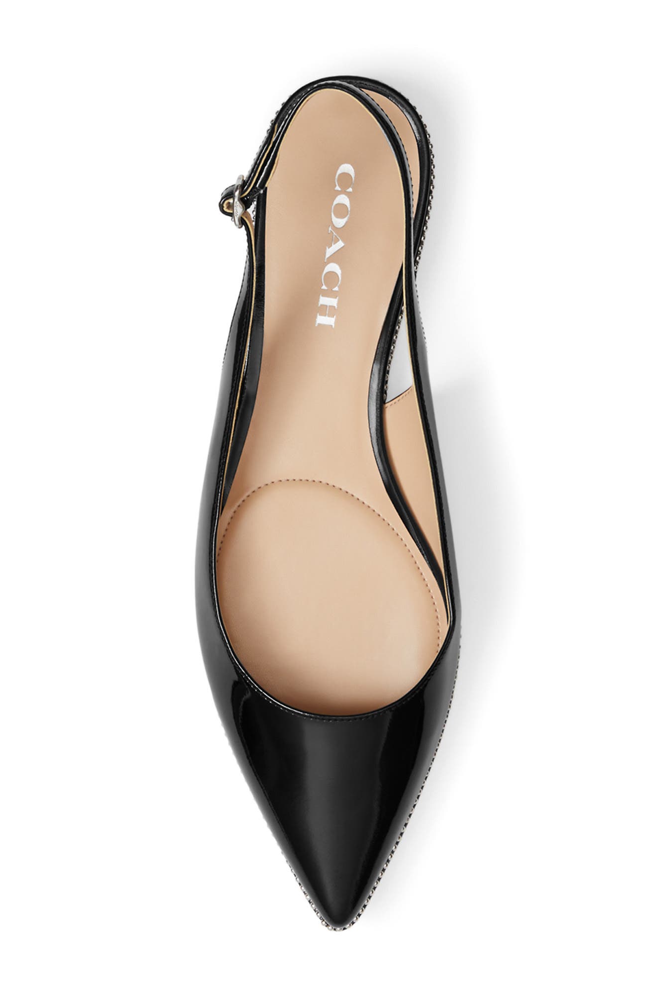 COACH Claire Slingback Pointed Toe Flat, Alternate, color, 