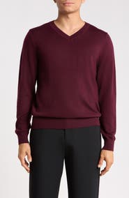 Nordstrom Washable Merino Wool V-Neck Sweater