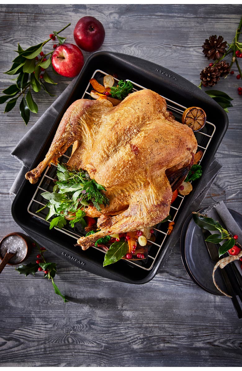 Scanpan Classic 15.25" x 10.5" Roasting Pan, 5.25 Qt., Alternate, color, 