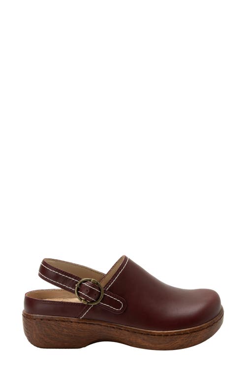 Alegria By Pg Lite Olie Slingback Platform Clog In Brown