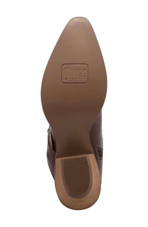 Dingo Saddle Up Western Boot In Brown
