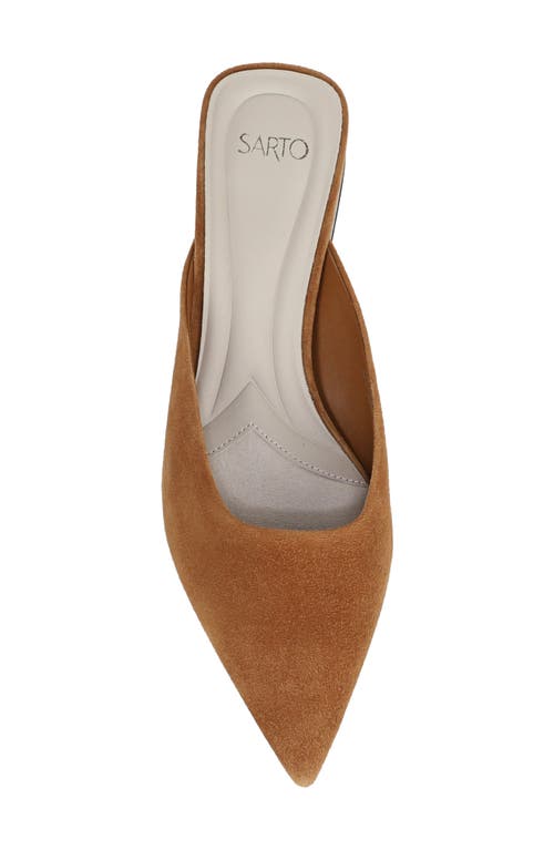 Sarto By Franco Sarto Bennet Pointed Toe Mule In Brown