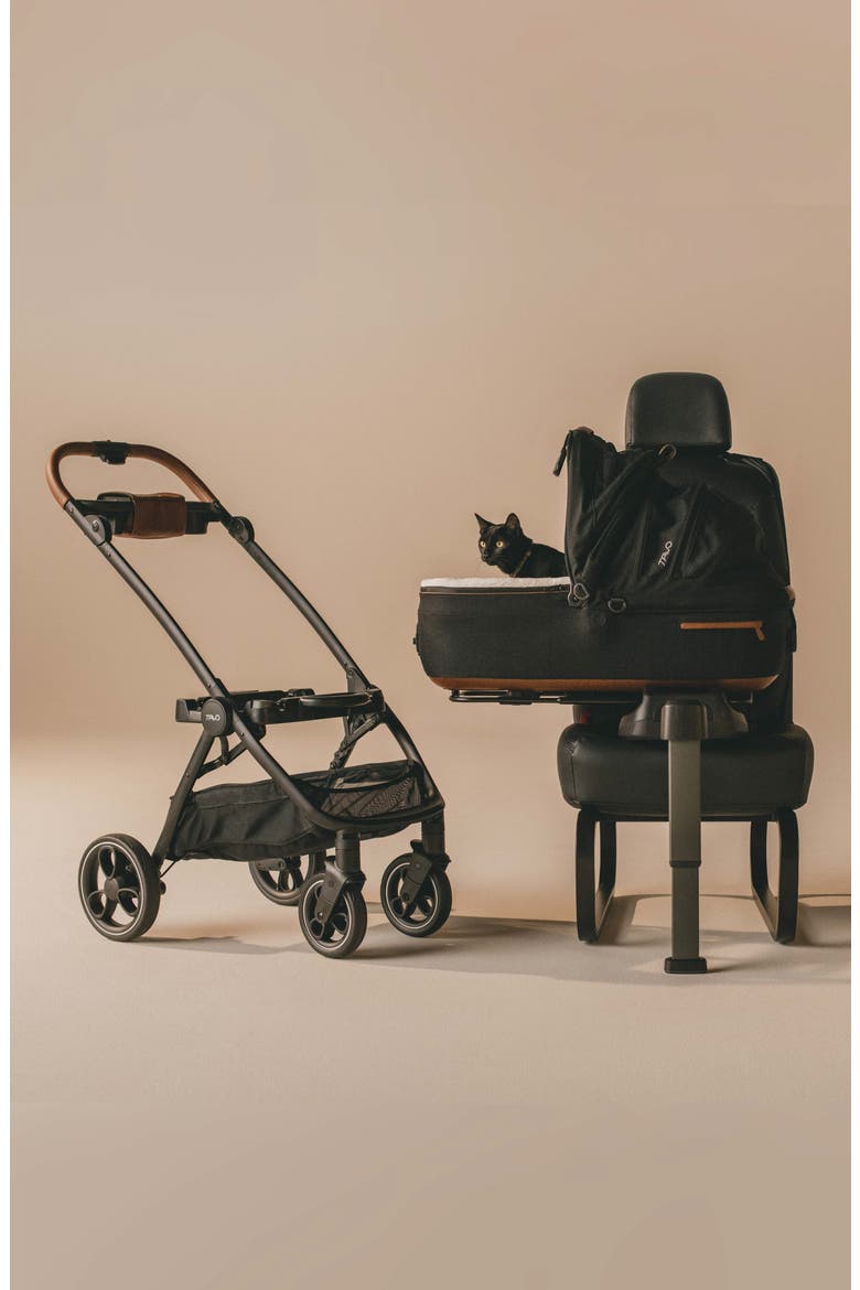 Maeve™ Medium Flex 3-in-1 Pet Car Seat & Stroller, Alternate, color, ONYX