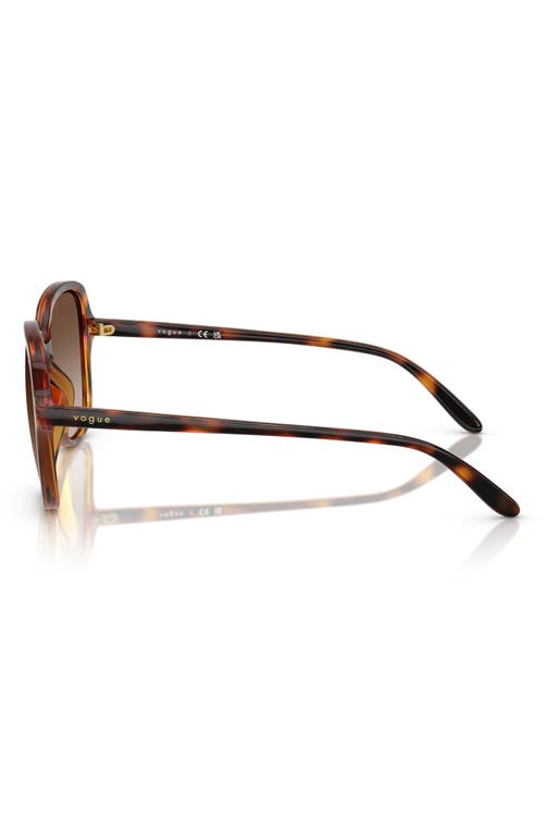 Vogue 53mm Polarized Square Sunglasses In Dark Havana