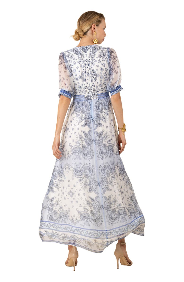 Hale Bob Lilian Chiffon Maxi Dress, Alternate, color, 