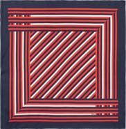 Echo Stripes Silk Scarf