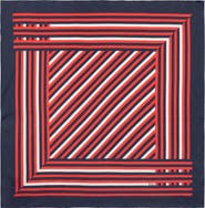 Echo Stripes Silk Scarf