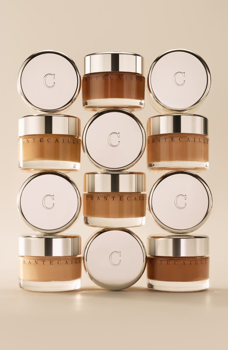 Chantecaille Future Skin Oil-Free Foundation, Alternate, color, Carob