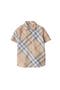 Check Cotton Shirt