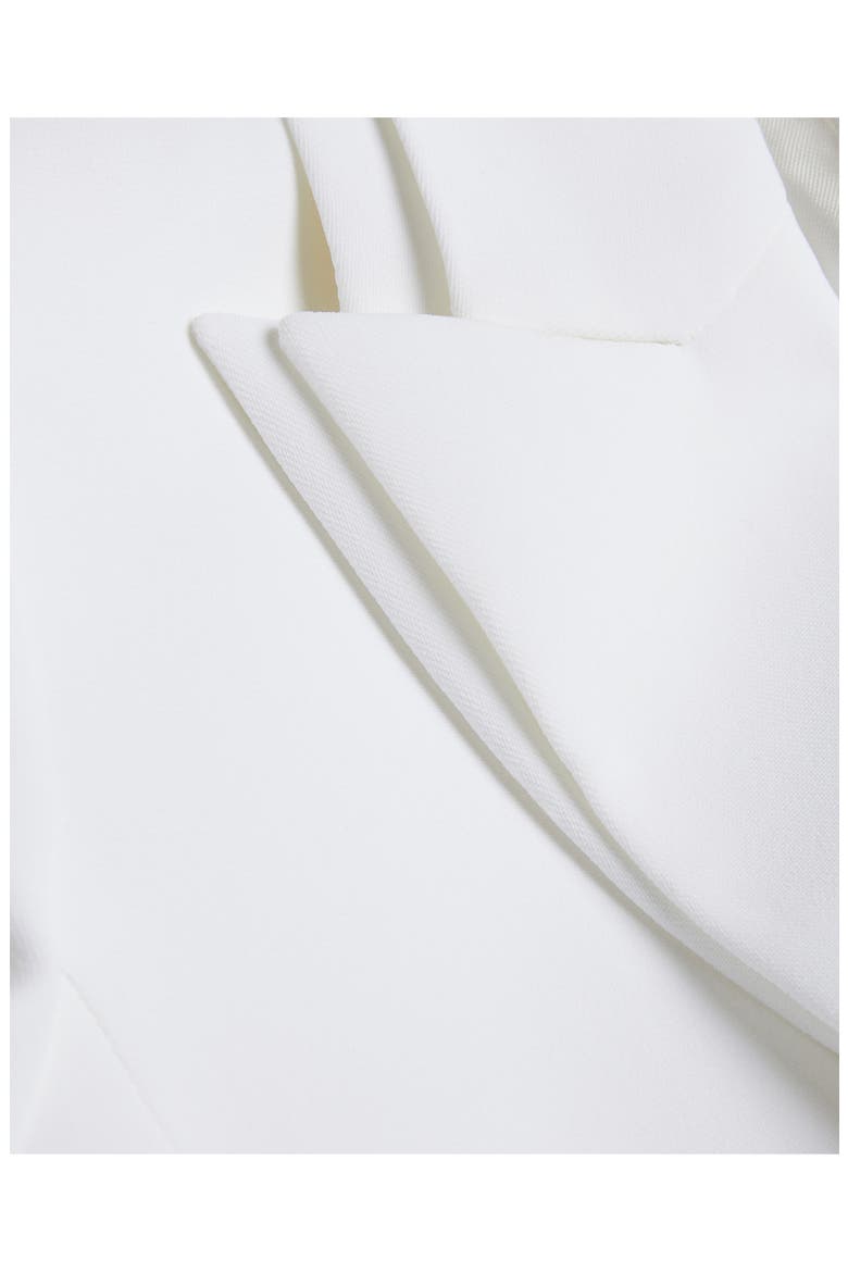 Bertaah Double Lapel Blazer, Alternate, color, IVORY