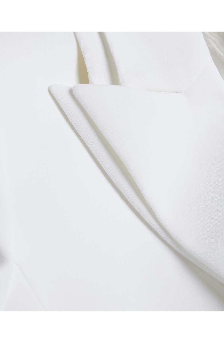 Ted Baker London Bertaah Double Lapel Blazer, Alternate, color,