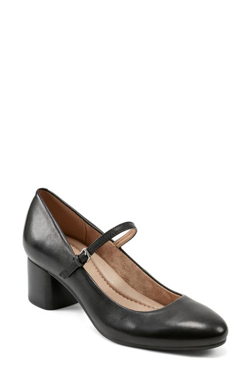 Earth® Rumer Mary Jane Pump in Black 