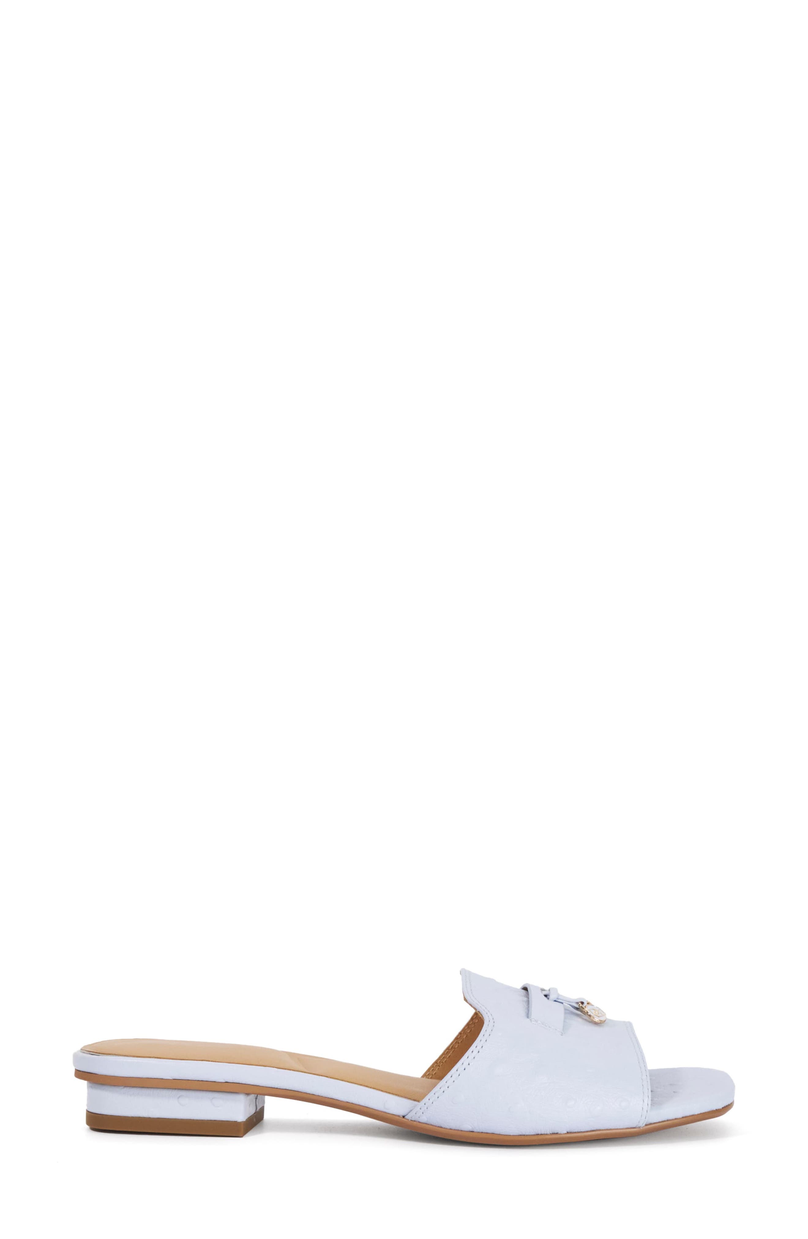 Dune London Lindo Slide Sandal, Alternate, color, Pale Blue