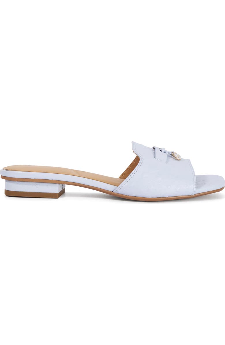 Dune London Lindo Slide Sandal, Alternate, color, Pale Blue