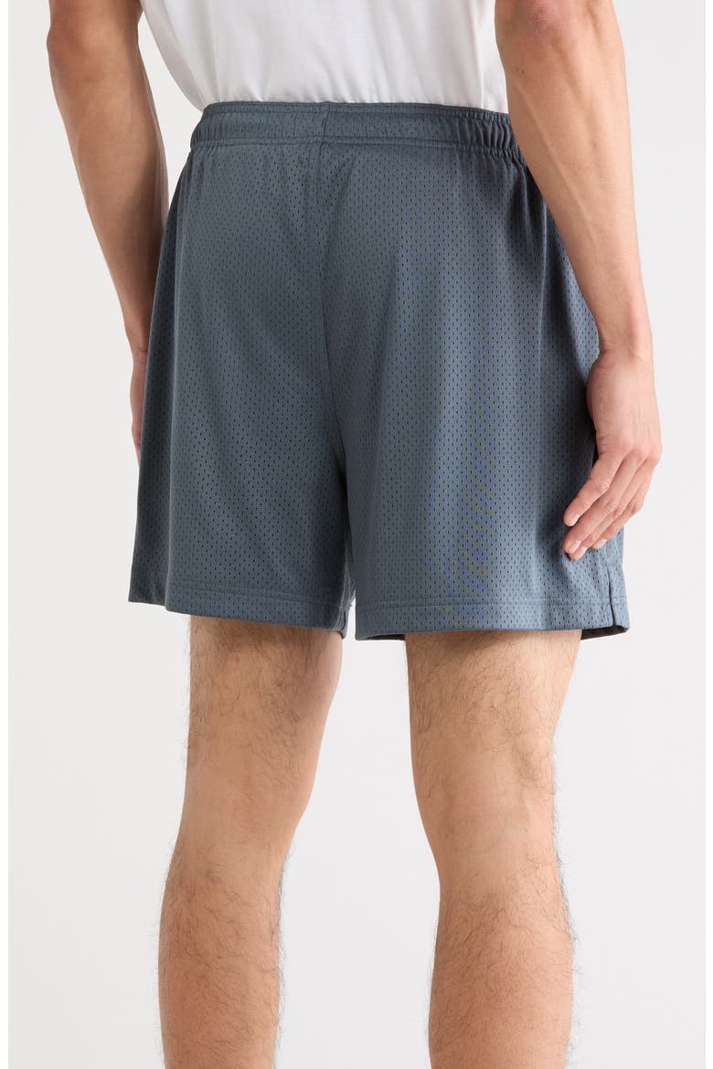 Diamond Mesh Shorts, Alternate, color, BLUE SLATE