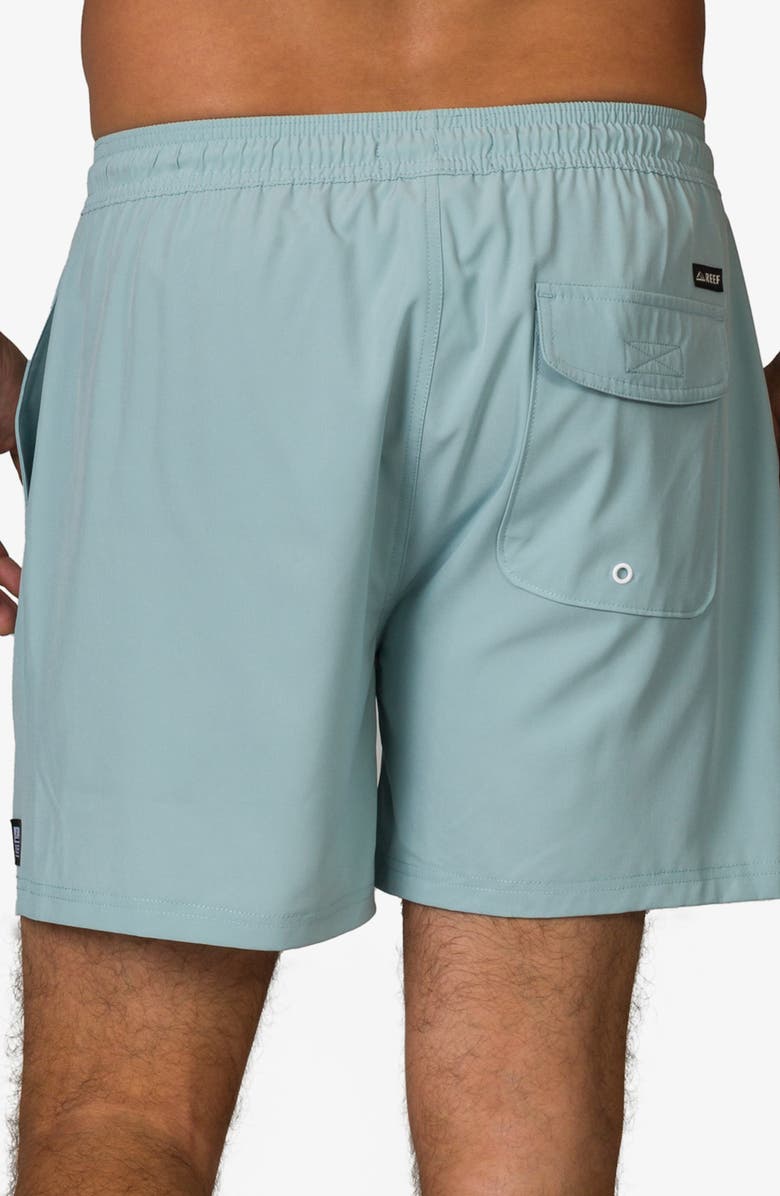 Reef Marzo Swim Trunks, Alternate, color, Ether