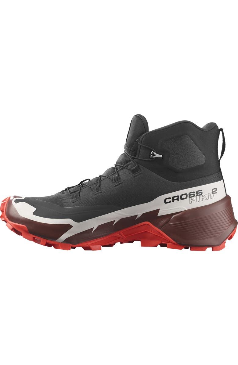 Salomon Cross Hike 2 Mid GTX Shoe, Alternate, color,